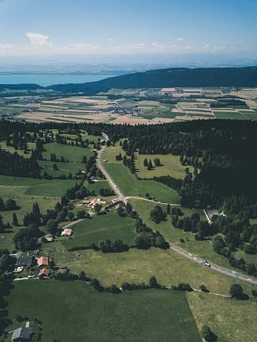 aerial view aerial view of green trees and sea shore landscape